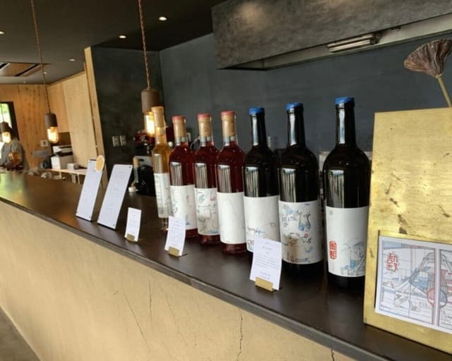 山梨ぶどう満喫の旅🍇&ほったらかし温泉♨️