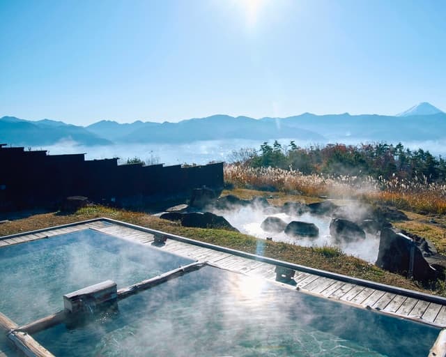 山梨ぶどう満喫の旅🍇&ほったらかし温泉♨️